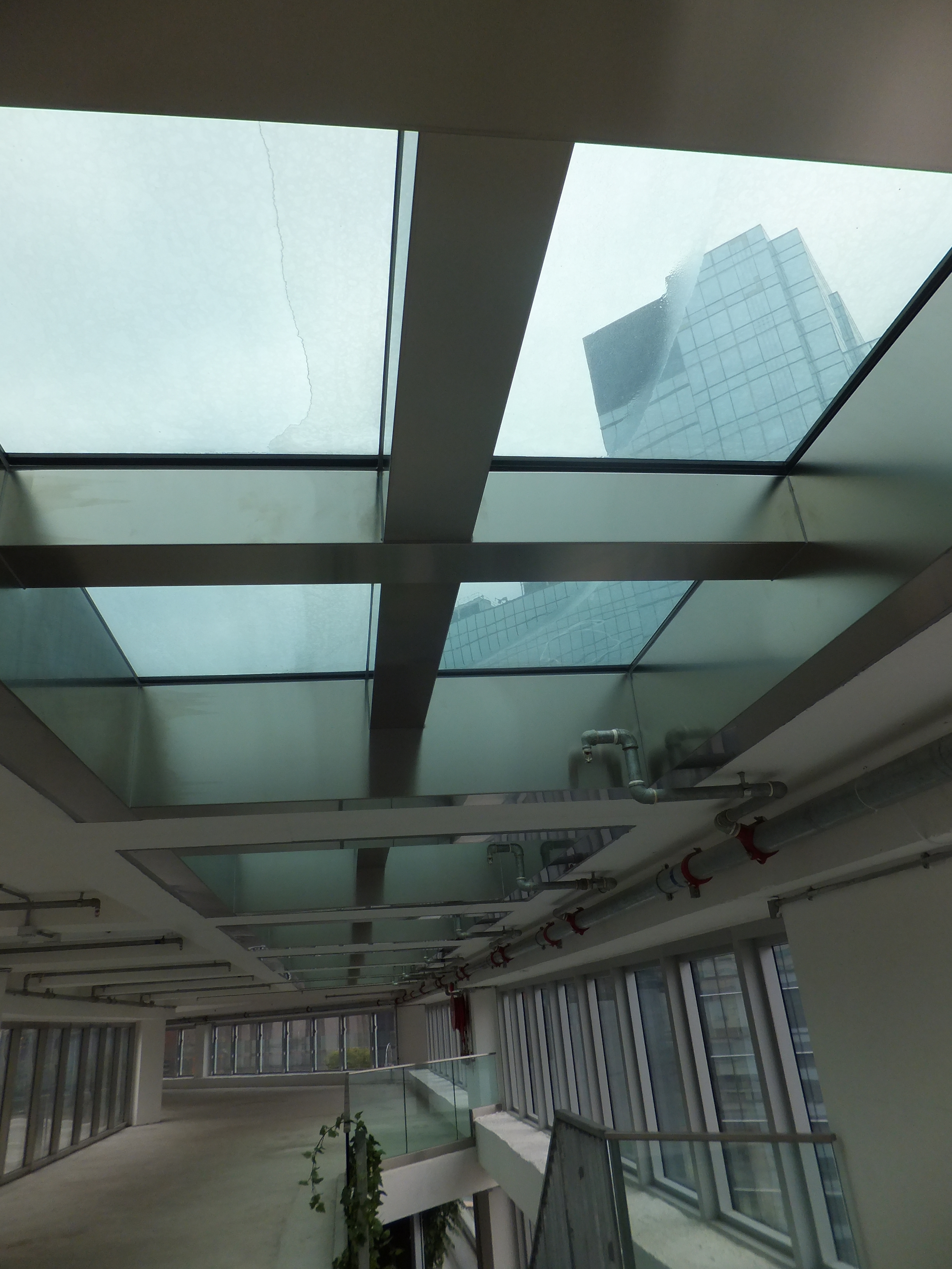 Clarab&oacute;ia Hong Kong