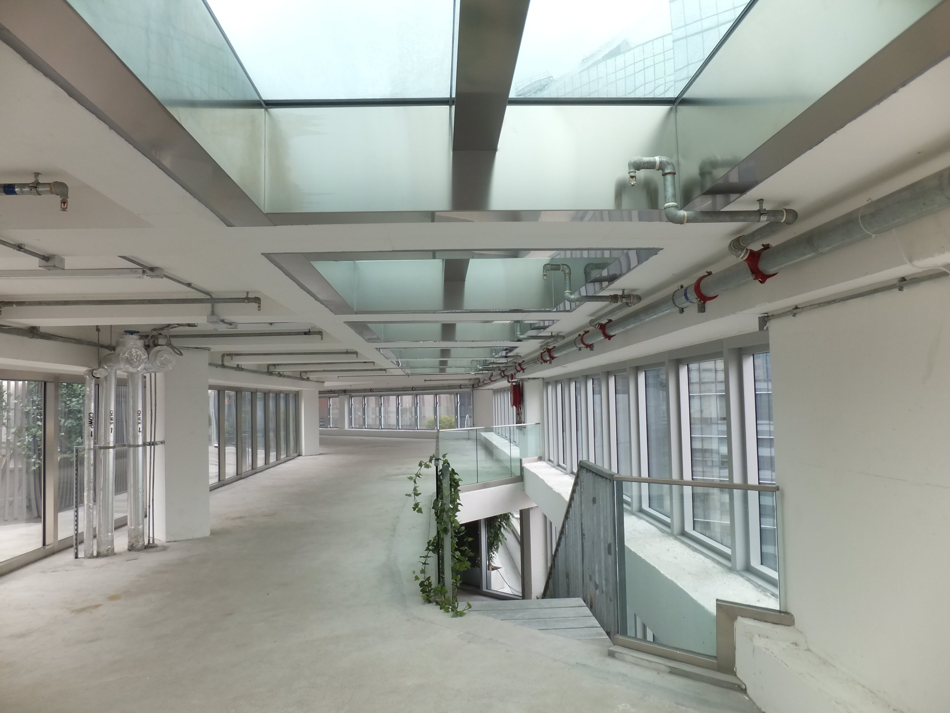 Clarab&oacute;ia Hong Kong-4